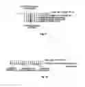 Fig. 12 - Methods of enzymatic discrimination enhancement and surface-bound double-stranded DNA
