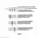 Fig. 16 - Methods of enzymatic discrimination enhancement and surface-bound double-stranded DNA