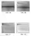 Fig. 02 - Detection of immobilized nucleic acid