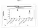 Fig. 02 - CLEANING COMPOSITIONS, METHODS AND MATERIALS FOR REDUCING NUCLEIC ACID CONTAMINATION