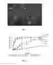Fig. 02 - METHODS OF TREATING OCULAR DISORDERS