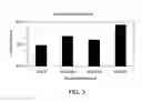Fig. 04 - Crystallized recombinant human growth factor formulations