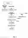 Fig. 02 - Methods for stimulating nervous system regeneration and repair by regulating arginase I and polyamine synthesis