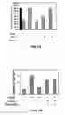 Fig. 09 - Methods for stimulating nervous system regeneration and repair by regulating arginase I and polyamine synthesis