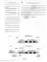 Fig. 02 - Nucleic acid codifying for a utrophin transcription specific regulating protein, protein codified thereby and uses thereof