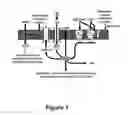 Fig. 02 - NATRIURETIC COMPOUNDS, CONJUGATES, AND USES THEREOF