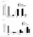 Fig. 07 - Combination Therapy for Neuroprotection