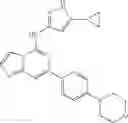 Fig. 166 - Kinase inhibitors