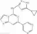 Fig. 445 - Kinase inhibitors