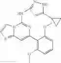 Fig. 451 - Kinase inhibitors