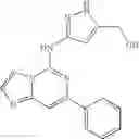 Fig. 484 - Kinase inhibitors