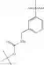 Fig. 303 - Compounds for Inhibiting Beta-Amyloid Production and Methods of Identifying the Compounds