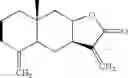 Fig. 352 - Compounds for Inhibiting Beta-Amyloid Production and Methods of Identifying the Compounds