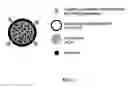 Fig. 02 - Long Circulating Nanoparticles for Sustained Release of Therapeutic Agents