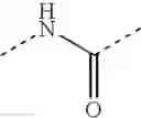 Fig. 652 - Piperidine/piperazine derivatives
