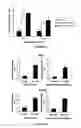 Fig. 02 - METHODS AND COMPOSITIONS FOR TREATING CANCERS