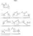 Fig. 02 - Methods for screening antimicrobial and antiviral compounds and uses thereof