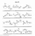 Fig. 07 - Methods for screening antimicrobial and antiviral compounds and uses thereof