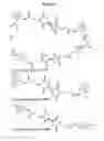 Fig. 08 - Methods for screening antimicrobial and antiviral compounds and uses thereof