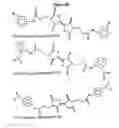 Fig. 09 - Methods for screening antimicrobial and antiviral compounds and uses thereof