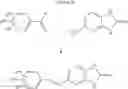 Fig. 35 - Methods for screening antimicrobial and antiviral compounds and uses thereof