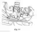 Fig. 09 - Methods and compositions for modulating P300/CBP activity