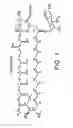 Fig. 02 - Genes encoding a nystatin polyketide synthase and their manipulation and utility