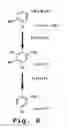 Fig. 09 - HYDROXYTYROSOL-RICH COMPOSITION FROM OLIVE VEGETATION WATER AND METHOD OF USE THEREOF