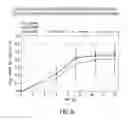 Fig. 07 - Transdermal compositions for anticholinergic agents