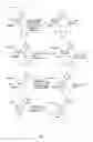 Fig. 07 - Polycyclic sugar surrogate-containing oligomeric compounds and compositions for use in gene modulation
