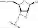 Fig. 22 - Polycyclic sugar surrogate-containing oligomeric compounds and compositions for use in gene modulation