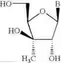 Fig. 48 - Polycyclic sugar surrogate-containing oligomeric compounds and compositions for use in gene modulation