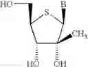 Fig. 58 - Polycyclic sugar surrogate-containing oligomeric compounds and compositions for use in gene modulation