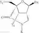 Fig. 67 - Polycyclic sugar surrogate-containing oligomeric compounds and compositions for use in gene modulation