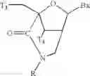 Fig. 68 - Polycyclic sugar surrogate-containing oligomeric compounds and compositions for use in gene modulation