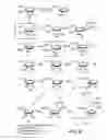 Fig. 06 - Synthesis of locked nucleic acid derivatives