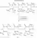 Fig. 22 - MIMETIC COMPOSITIONS AND THE PRODUCTION THEREOF