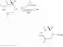 Fig. 28 - MIMETIC COMPOSITIONS AND THE PRODUCTION THEREOF