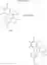 Fig. 20 - (+)-morphinanium N-oxides and processes for their production