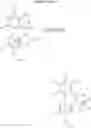 Fig. 21 - (+)-morphinanium N-oxides and processes for their production