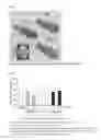 Fig. 02 - Inhibitor of ischemic disorders