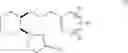 Fig. 35 - Synthetic processes for the preparation of aminocyclohexyl ether compounds