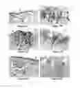 Fig. 03 - MAGNETIC INK TISSUE MARKINGS