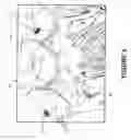 Fig. 05 - Surgical tool for measurement of valve annulus and cusp geometry