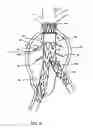 Fig. 05 - MEDICAL DEVICES