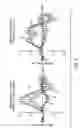 Fig. 03 - Recognizing awareness in an anesthetized subject