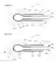 Fig. 42 - Methods and Systems for Performing Submucosal Medical Procedures
