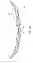 Fig. 06 - Orthopedic device for treatment of the back