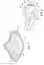 Fig. 09 - Orthopedic device for treatment of the back