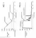 Fig. 02 - Simulation of patient drain phase in peritoneal dialysis